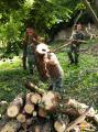 Members of the Serbian Armed Forces in "Spring Cleaning of Serbia" Campaign